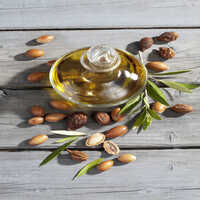 Argan nuts from Argan tree, Argania spinosa, leaves and Argan oil bottle