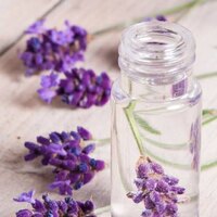 lavenderfloralwater